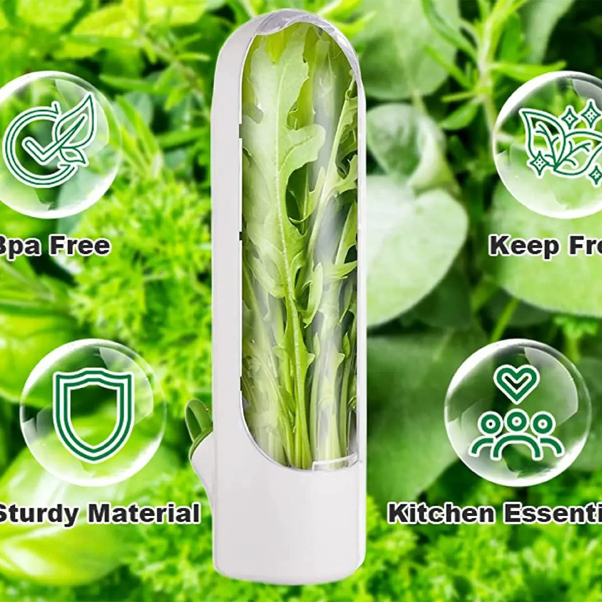 Herb Saver: Freshness Container For Kitchen