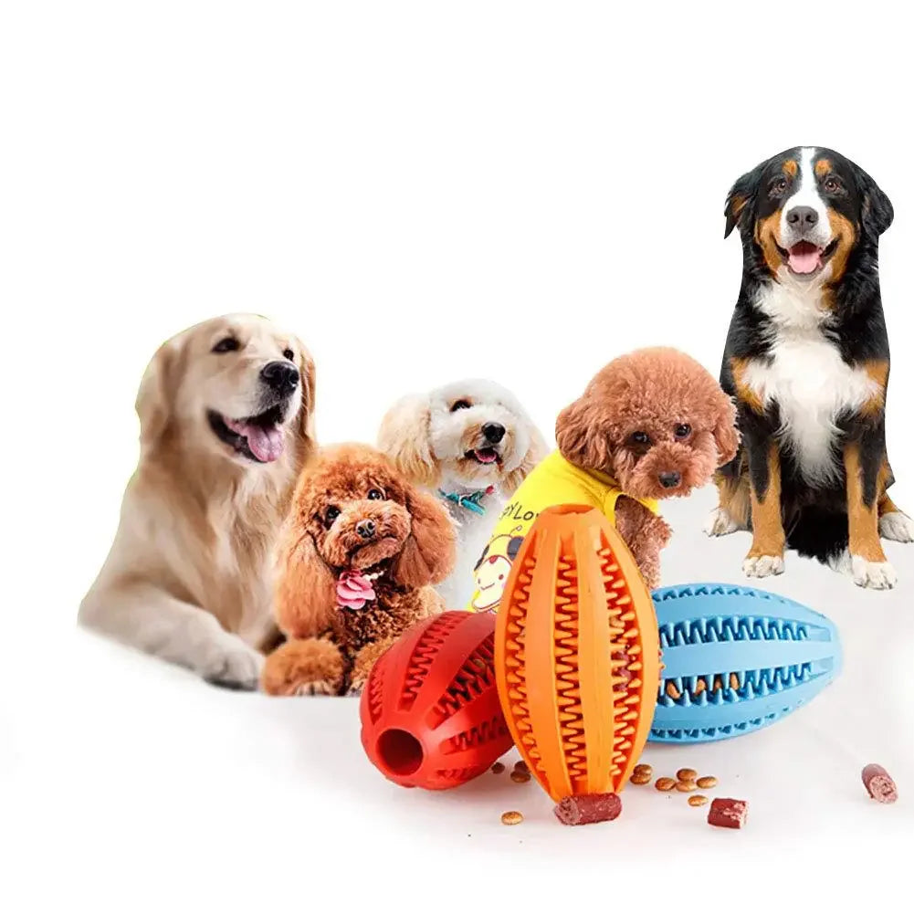 Pet Dog Chew Toys Teeth Cleaning Snack Ball