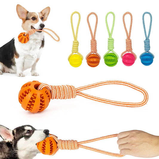 Pet Treat Balls