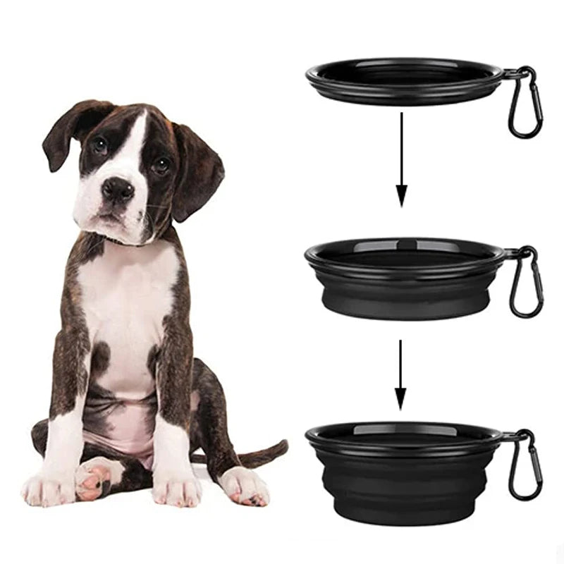 Dog Feeder Bowl