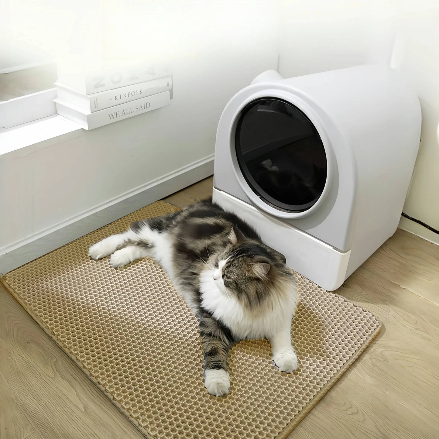 Cat Litter Mat Waterproof Double