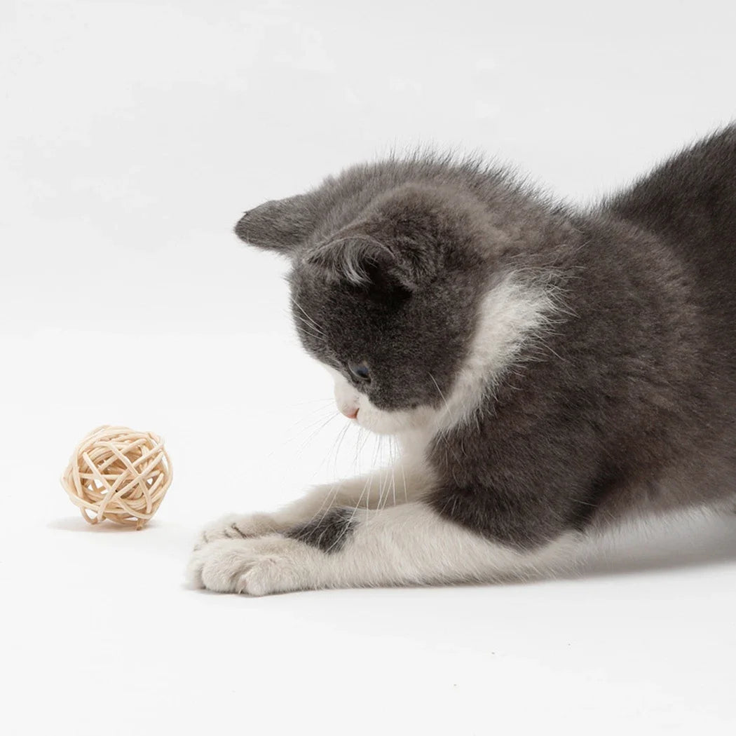 2pcs Cat Toy Pet Rattan Ball