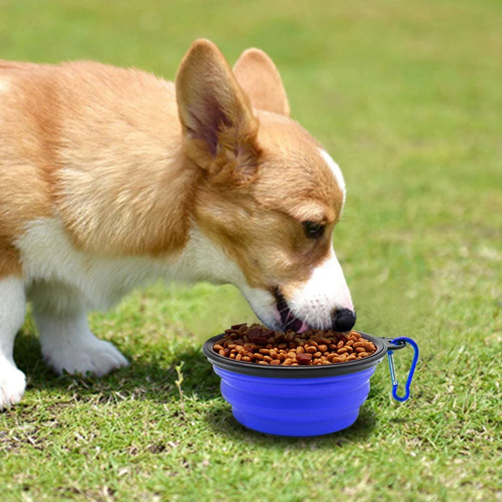 Dog Feeder Bowl