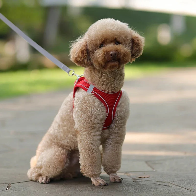 Summer Mesh Harness Vest